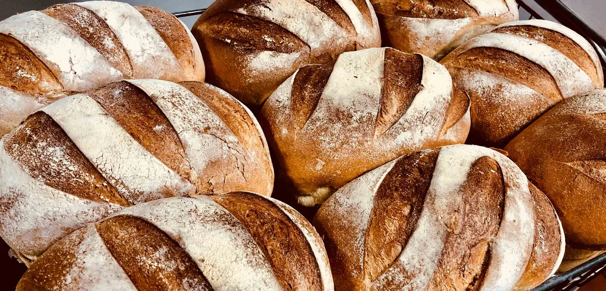 Wedges Bakery large sourdough loaf